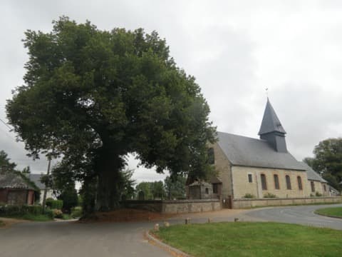 Couvreur Mesnil-Raoul